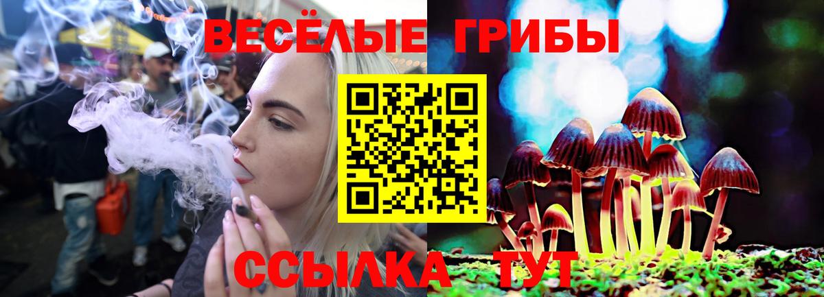 Галлюциногенные грибы мухоморы Ишимбай